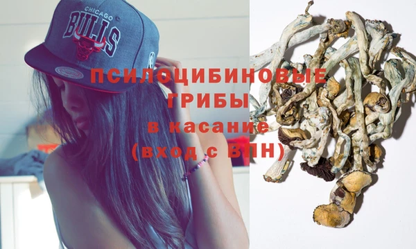 ешки Вяземский