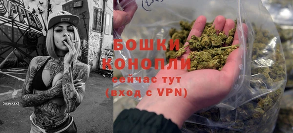 винт Горно-Алтайск