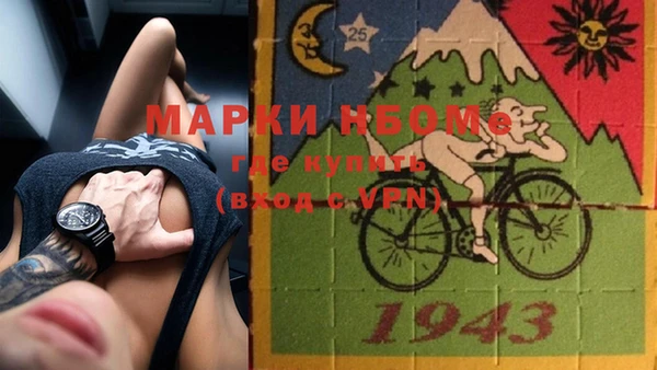 ешки Вяземский