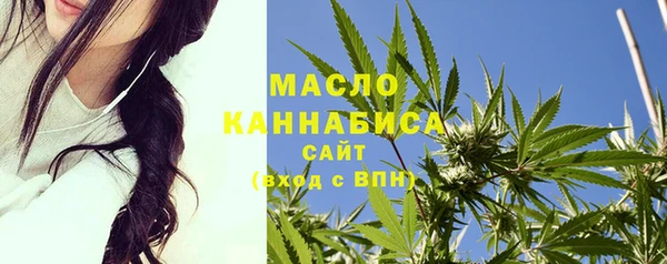 ешки Вяземский