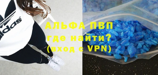 ешки Вяземский