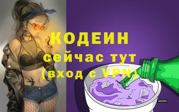 ешки Вяземский