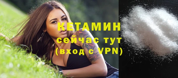 ешки Вяземский